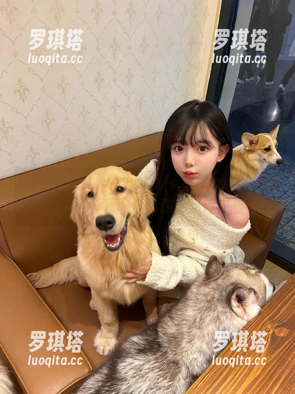 www..51 www..51cg.fun,是个奇怪的入口,我敢打赌你也想进来看看!