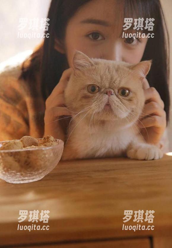 想要免费在线？快来吃瓜511，资源大放送！