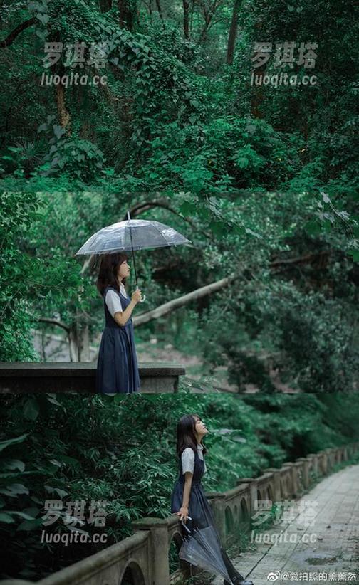 吃瓜网 瓜太郎怒摘八卦:为什么“吃瓜网”app比现实更好,大家快来为神逻辑点赞!