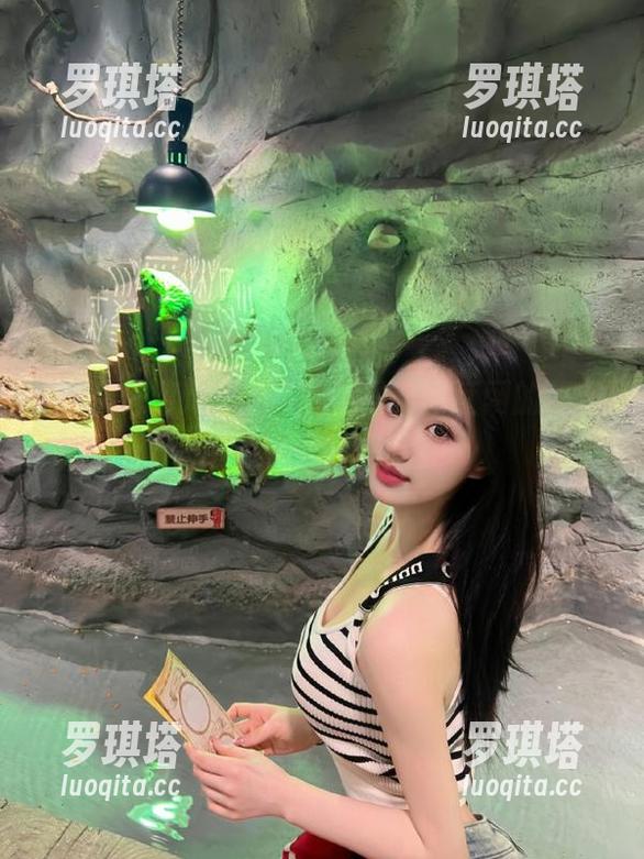登录后，黑料网红网的秘密丛林等你来探险！